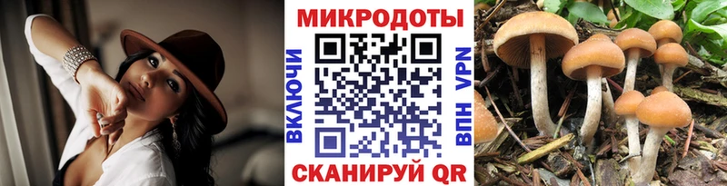 Псилоцибиновые грибы прущие грибы  Купить закладки  Камышин 